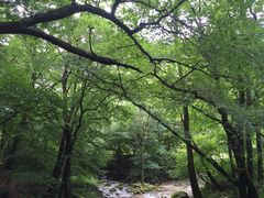 -丹东天桥沟景区