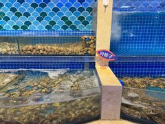 水产区-乔哥铭洋海鲜自助(皇城恒隆广场店)