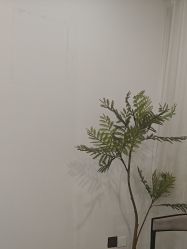 -张小野·专业半永久纹眉
