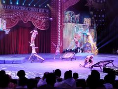 -珠海横琴长隆《卡卡虎奇遇记》