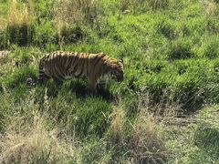 -新疆天山野生动物园