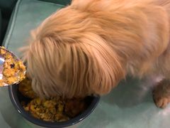 -百好乐宠物友好餐厅(朝外大街店)