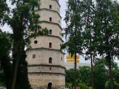 -兴隆文化园景区-兖州博物馆