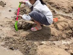 -碧海金沙