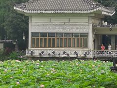 -荔湾湖公园