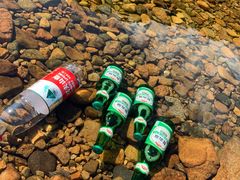 -兰河峪第117加油站