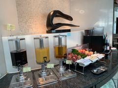 -虹桥机场国航贵宾室v8