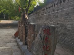 -大槐树寻根祭祖园