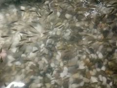 -巴斯漫温泉汗蒸馆(贡湖大道店)