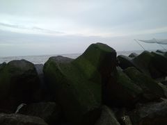 -南汇嘴观海公园