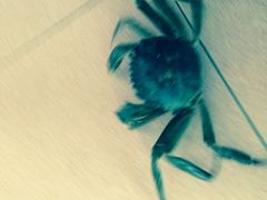iphone_upload_pic-老大昌(淮海中路店)