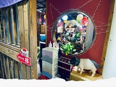 -KITON喜豚(清晖园店)