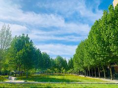 -中关村生命科学园