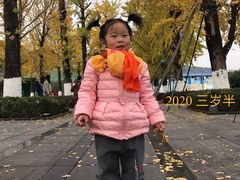 -百林公园-两江幸福广场