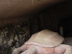 -上海佘山国家森林公园天马山园