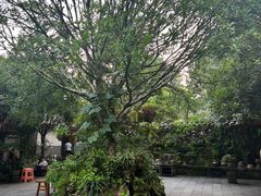 -青城甲(青城山店)