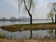 -渤公岛生态公园