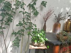 -云里小坐·小院里·团建·宴请·下午茶(三圣乡店)