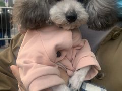 -pd派德宠物中心医院24H急重症·眼科中心·血液透析中心(嵩山北路店)