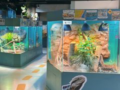 -上海大自然野生昆虫馆(东方明珠·爬宠昆虫探索中心)