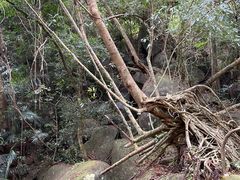 -七仙岭温泉国家森林公园