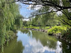 -上海滨江森林公园