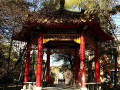 -吉林大学(南岭校区)