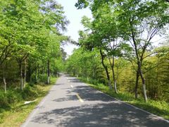 -南京金牛湖风景区