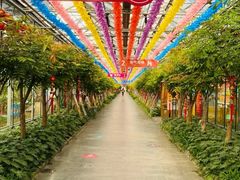 -南宫五洲植物乐园