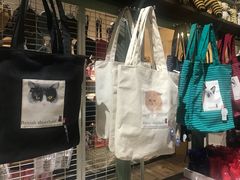 -猫咪博物馆(顶澳仔猫街店)