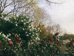 -杭州城北体育公园