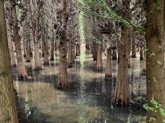 -捞渔河湿地公园