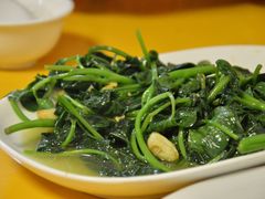 清炒麻叶-桂园白粥·潮汕老味道