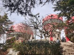 -信号山公园