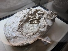 -辽宁古生物博物馆
