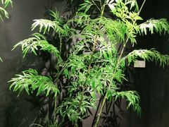 -湘邻呷铺·田园家宴(汉基广场店)