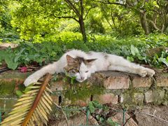 -白马涧龙池景区