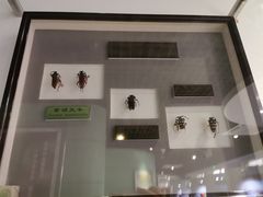 -上海昆虫博物馆