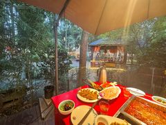 -二荆条·蜀鲜汇城市森林火锅