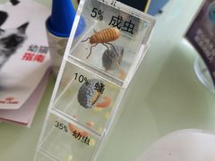 -美迦爱-牙专科·兔科·骨科诊疗中心(北苑店)
