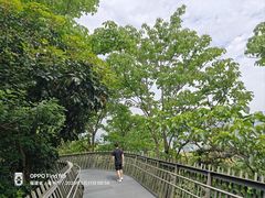 -福道