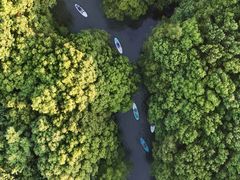 -动邦皮划艇·桨板·独木舟·团建户外运动俱乐部