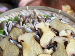 -陀岗美食·云南藏式特色餐厅