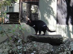 -可伦宾野生动物保护区