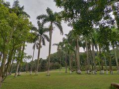 -番禺大夫山森林公园