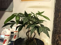-甬上名灶(天一阁·翠柏店)