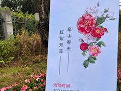 -清湖文化公园