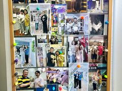 -青奢宠物·青奢猫舍