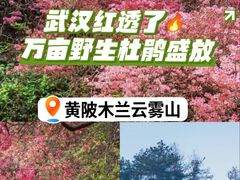 -木兰云雾山