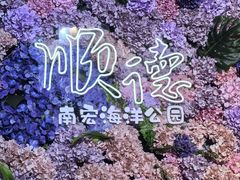 -顺德南宏海立方海洋公园